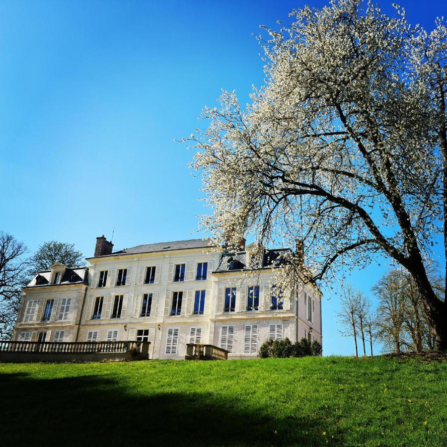 Château du Rollin Orléans Ouest- La Chapelle St Mesmin Extérieur photo